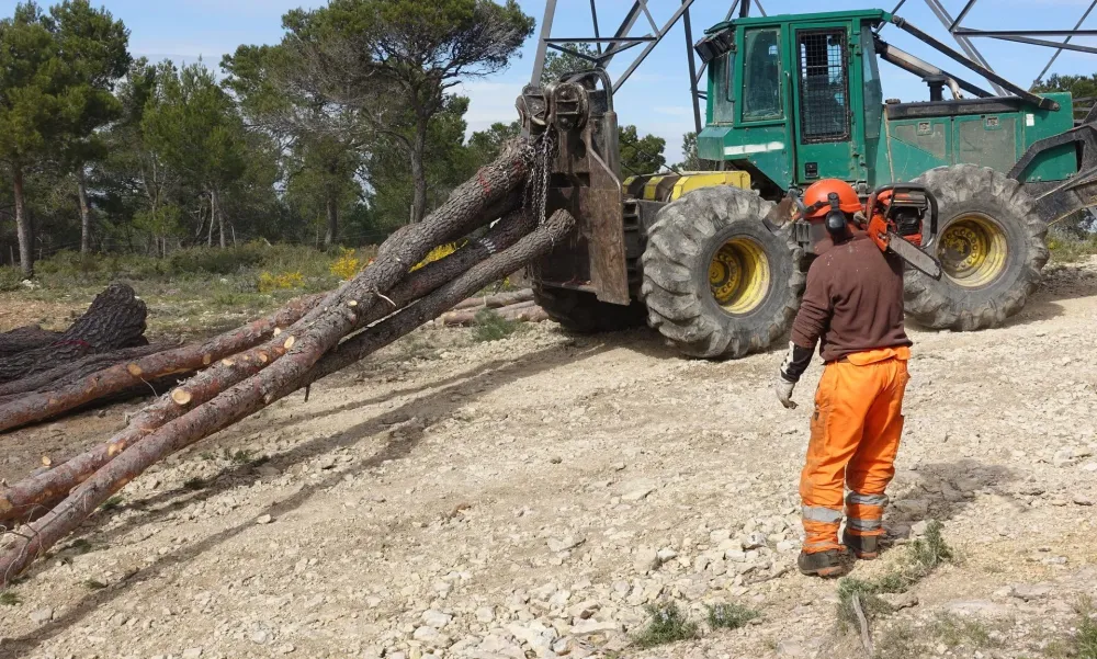 Débardage à Le Mage