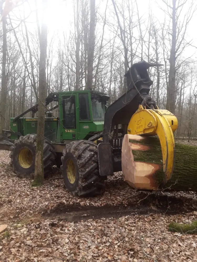 sas johann rousseau elagage abattage (1)