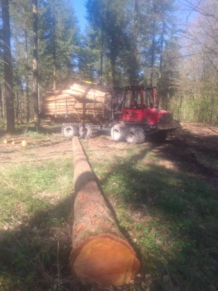 rousseau abattage realisations (6)