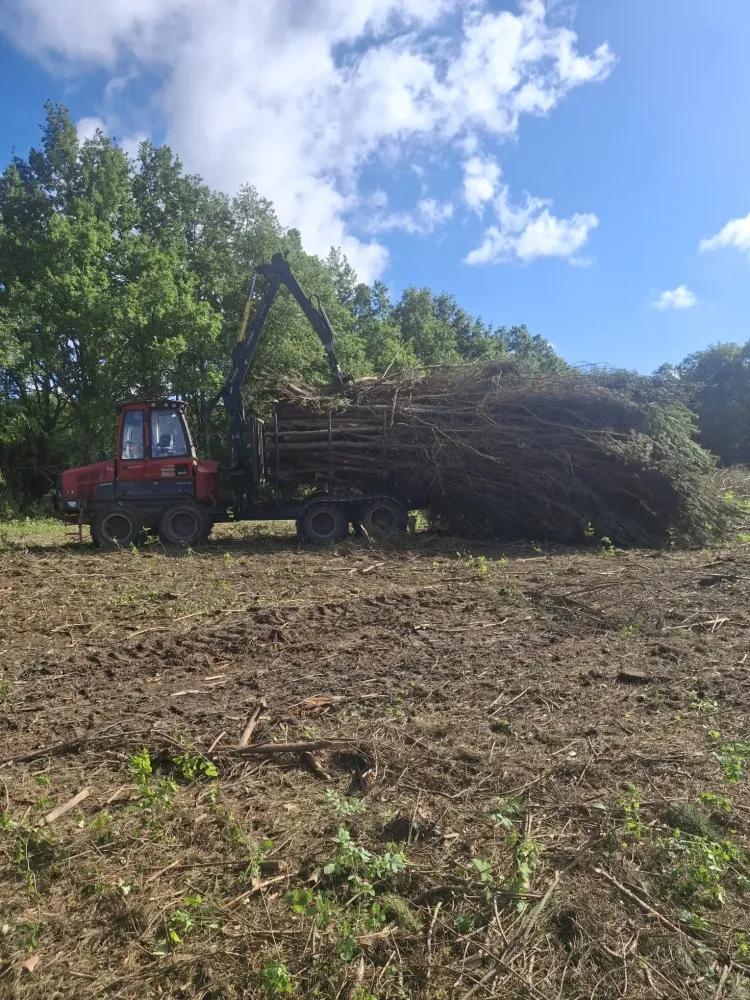 rousseau abattage realisations (11)