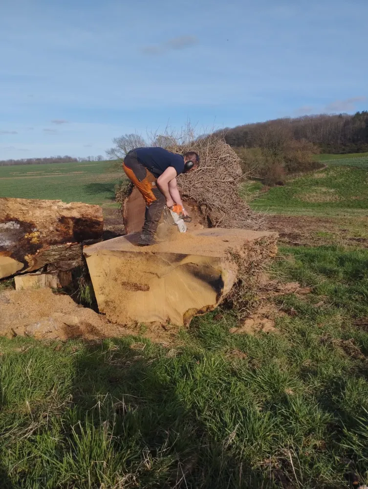 rousseau abattage realisations (10)